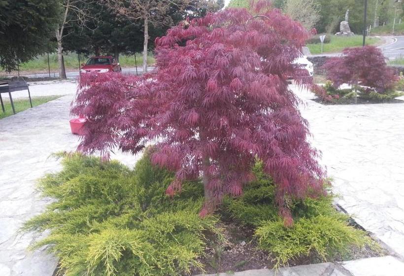 פנסיון Posada Las Mozas Del Agua