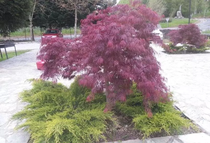 پانسیون Posada Las Mozas Del Agua