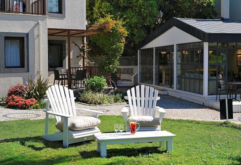 فندق Dorman Suites