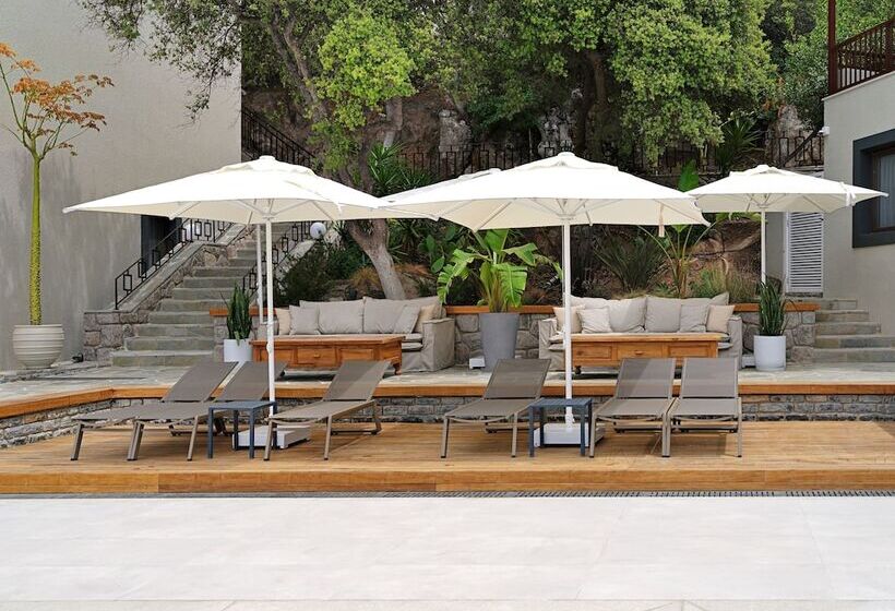 فندق Dorman Suites