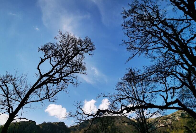 Hotel Vanatun Monastery Stay