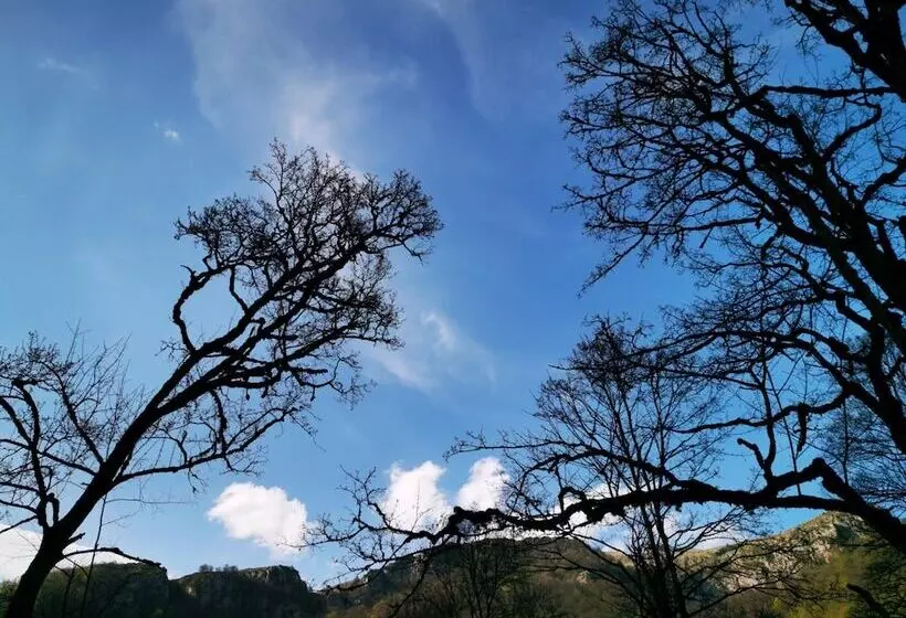 ホテル Vanatun Monastery Stay