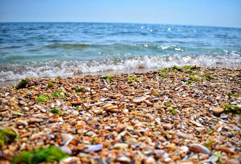 ペンション Valurile Mării Vama   Veche