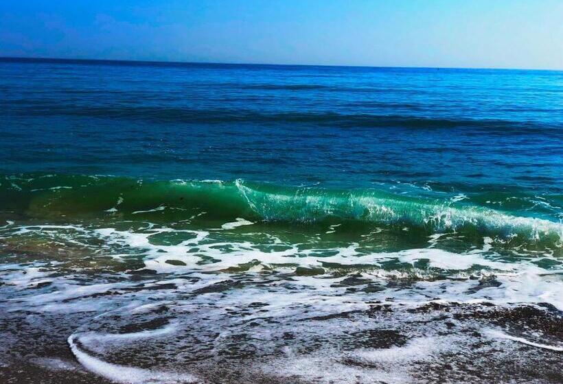 ペンション Valurile Mării Vama   Veche