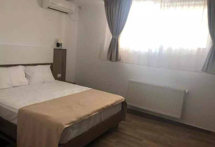 ペンション Valurile Mării Vama   Veche