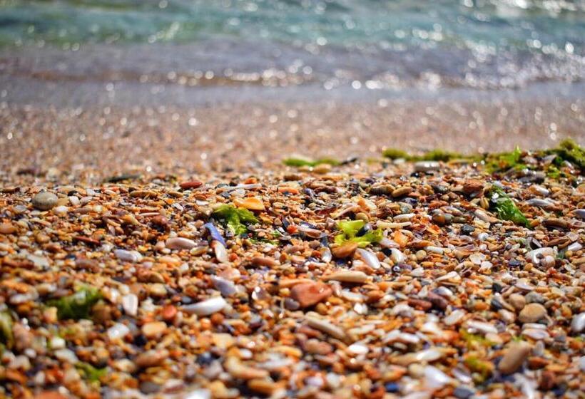 ペンション Valurile Mării Vama   Veche