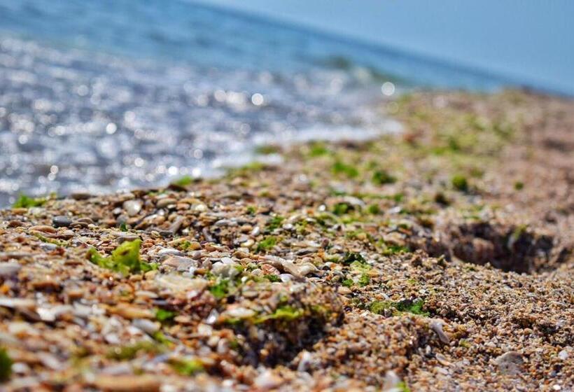 ペンション Valurile Mării Vama   Veche