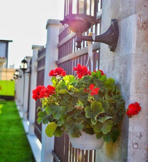 ペンション Valurile Mării Vama   Veche