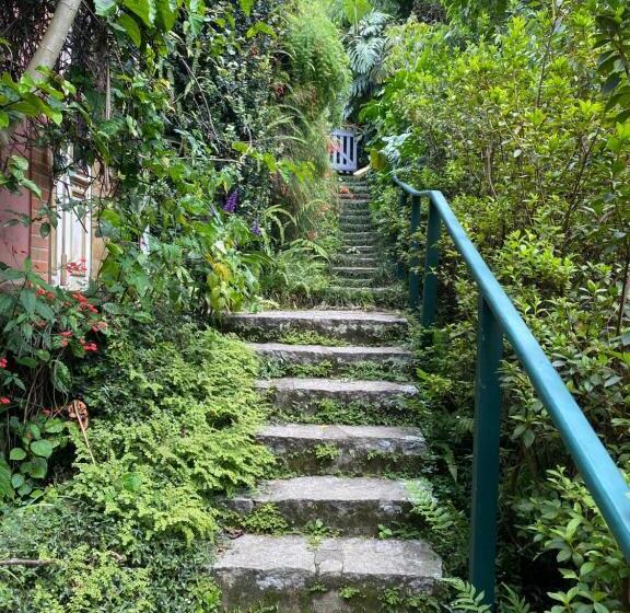 پانسیون Villa Violeta