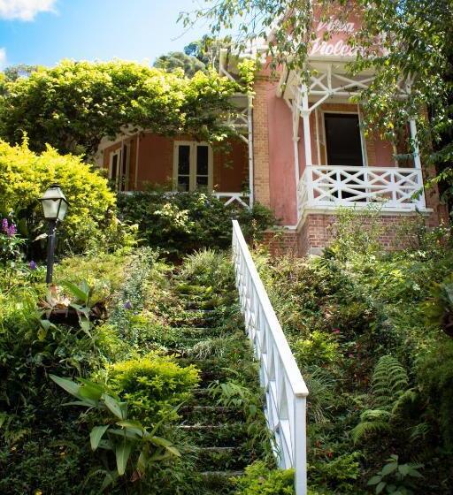 پانسیون Villa Violeta