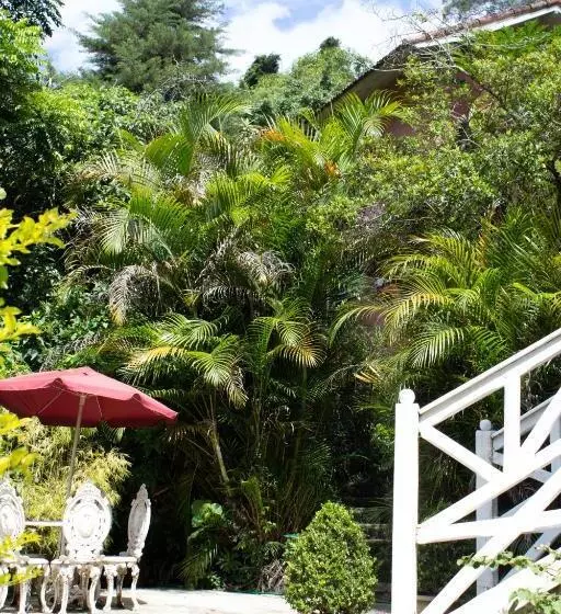 Pensão Villa Violeta