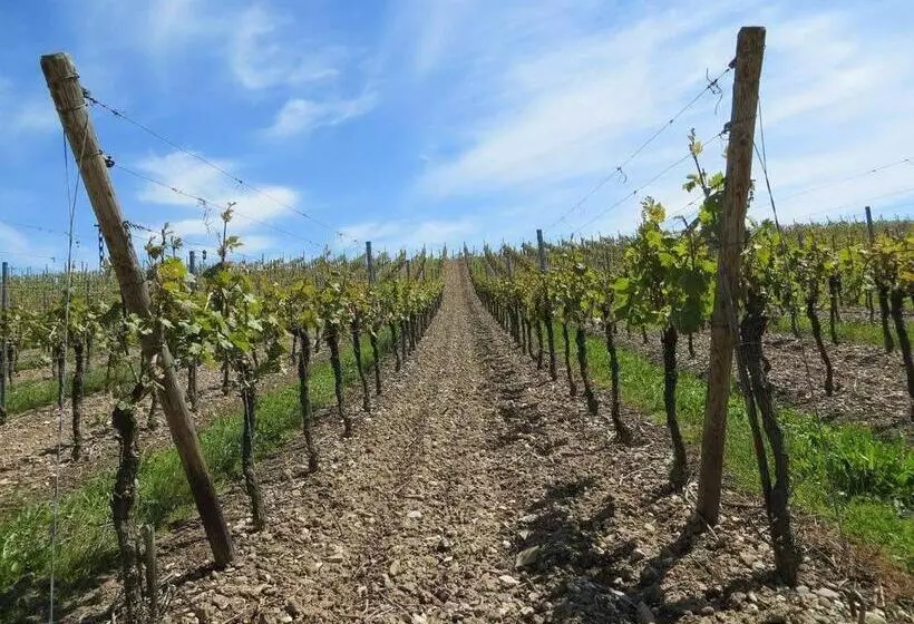 Hotelli Villa Cavalletti Camere