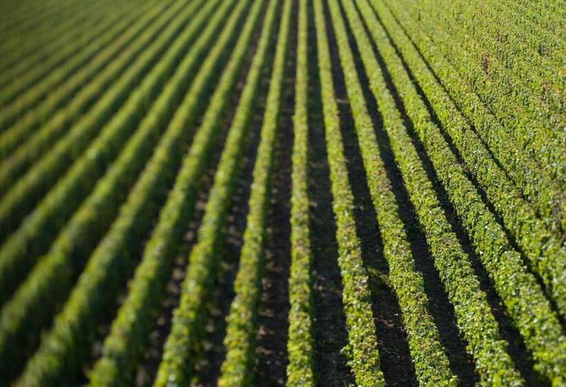 هتل Villa Cavalletti Camere