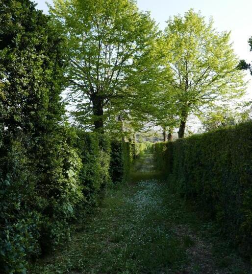 هتل Villa Cavalletti Camere