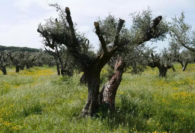 Hotelli Villa Cavalletti Camere