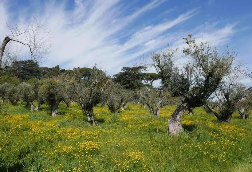 Hotelli Villa Cavalletti Camere