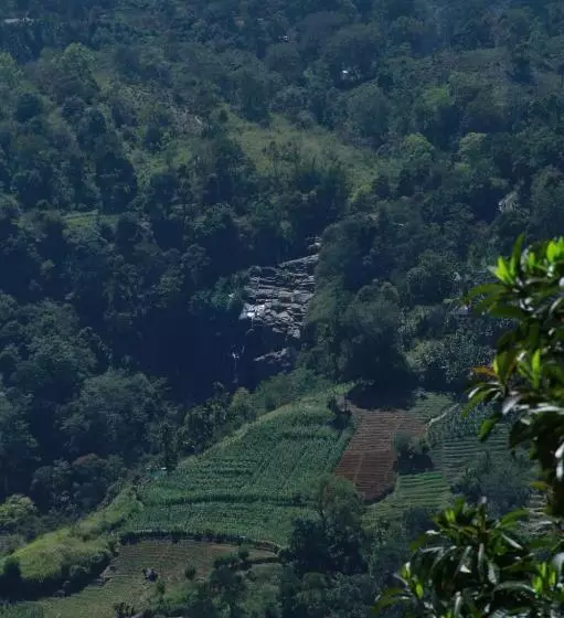 ベッドアンドブレックファースト Ella View