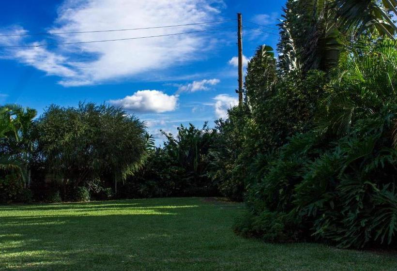 Akasu Bed And Breakfast