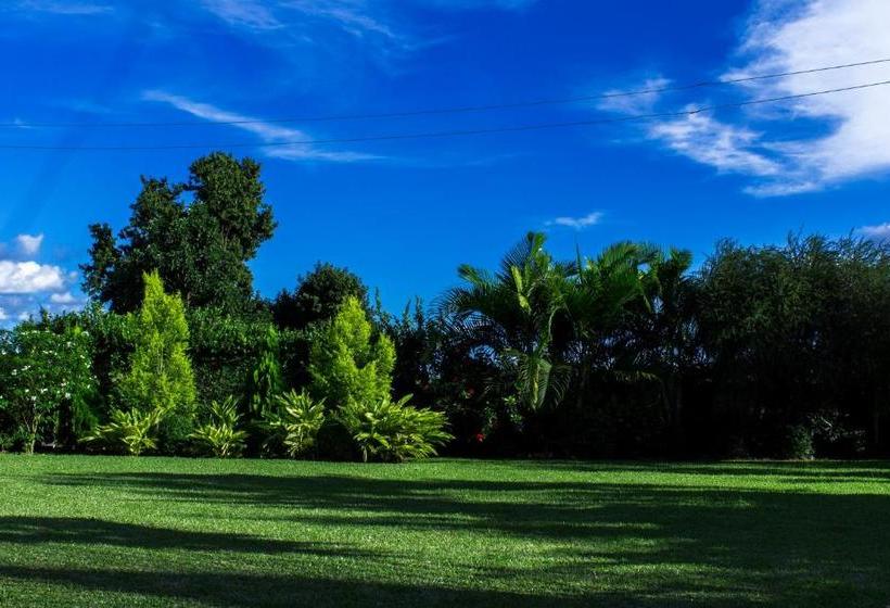 Akasu Bed And Breakfast