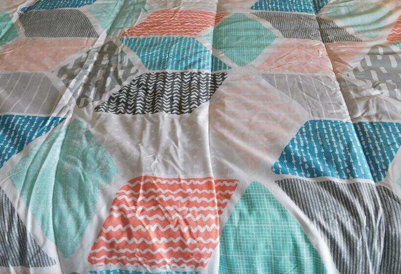 酒店 Spruce Pine Inn