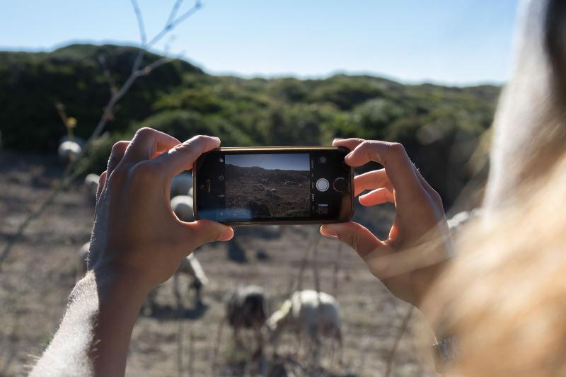 Il Cortiletto Hotel Maison