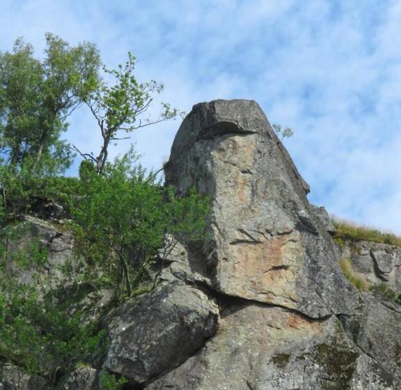 펜션 øvstefjellså Gård &aktivitet Senter