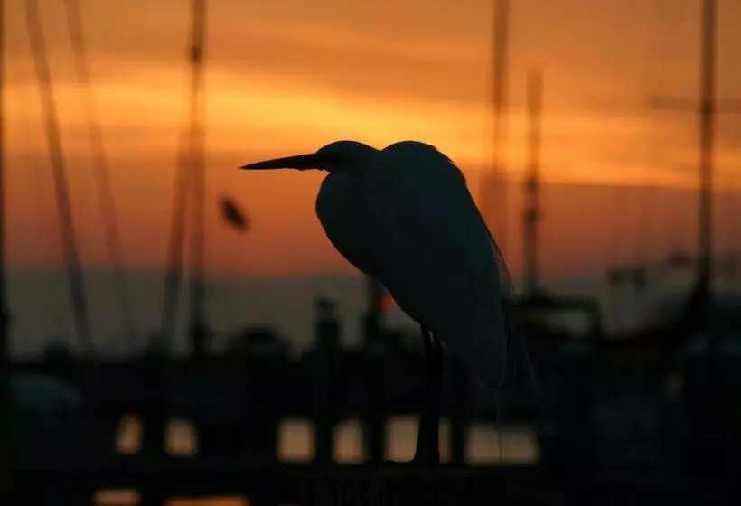 Whooping Crane Manor B & B