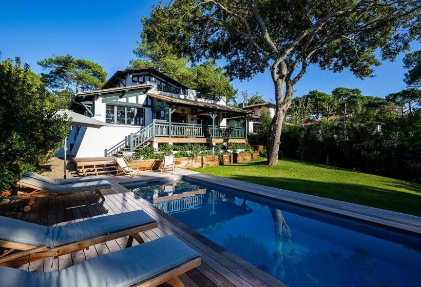 Bed and Breakfast Chistera