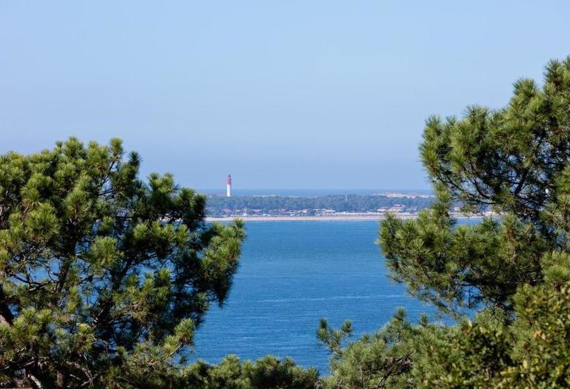 Bed and Breakfast Chistera