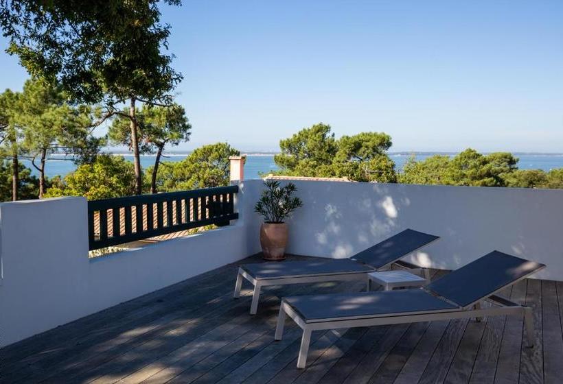 Bed and Breakfast Chistera