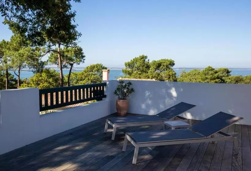 Aamiaismajoitus (B&B) Chistera