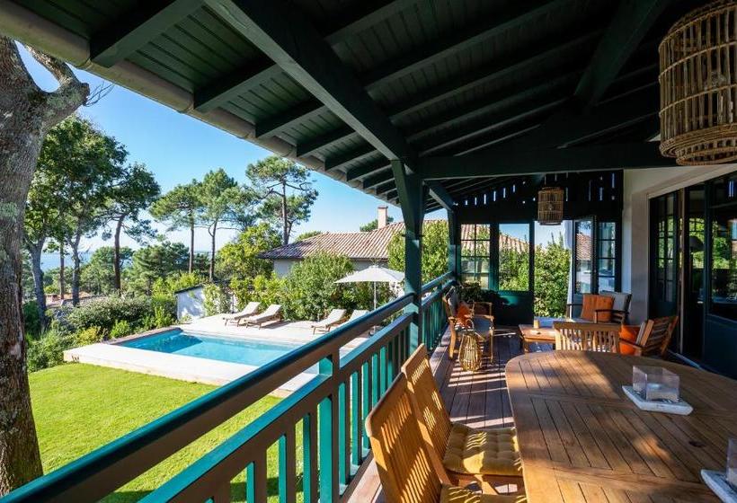 Bed and Breakfast Chistera