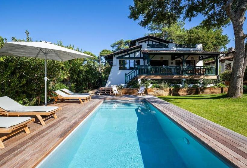 Bed and Breakfast Chistera