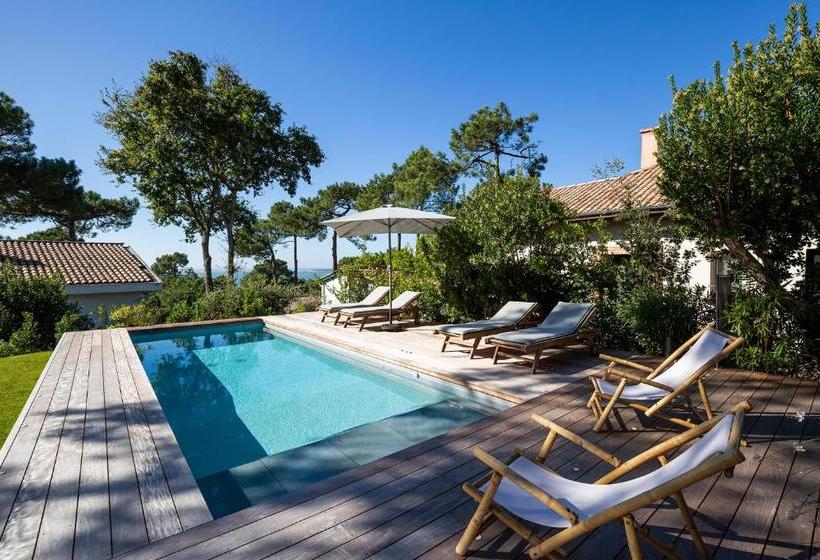 Bed and Breakfast Chistera