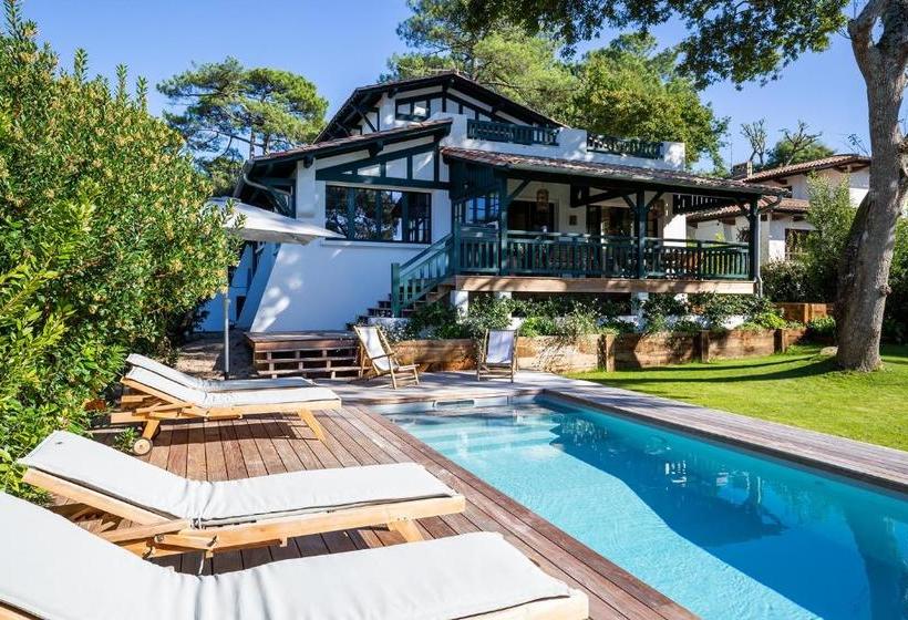 Bed and Breakfast Chistera