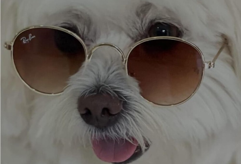 Pension Pousada Macdonald