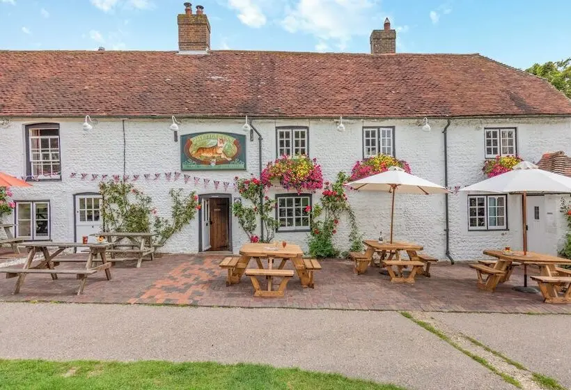 ベッドアンドブレックファースト Minnie   Tiger Inn