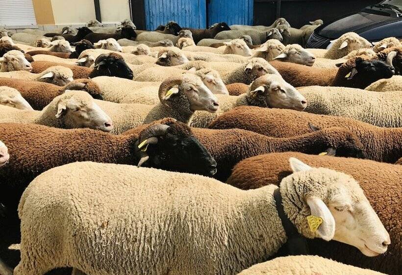 B&b Puente De órbigo