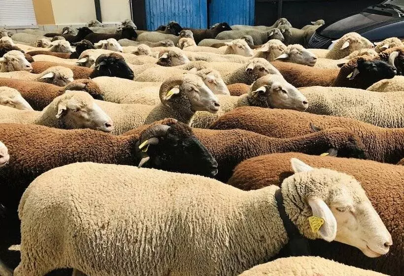 B&b Puente De órbigo