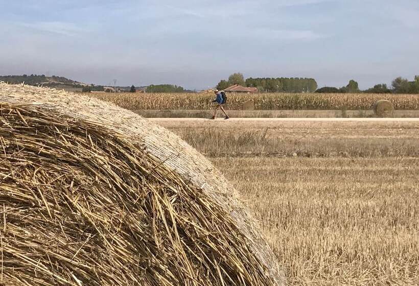 B&b Puente De órbigo