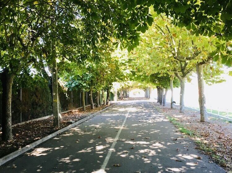 B&b Puente De órbigo