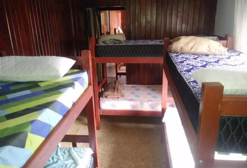 تختخواب و صبحانه Malala Jujuy Hostel