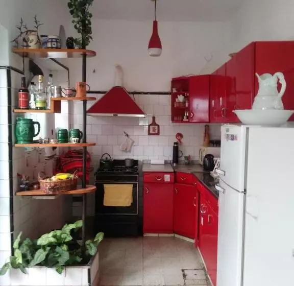 تختخواب و صبحانه Malala Jujuy Hostel