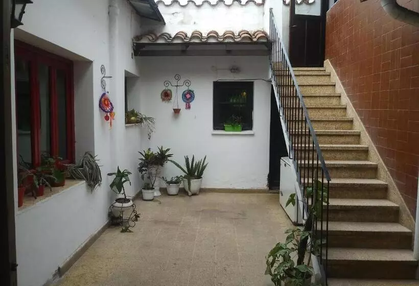 تختخواب و صبحانه Malala Jujuy Hostel