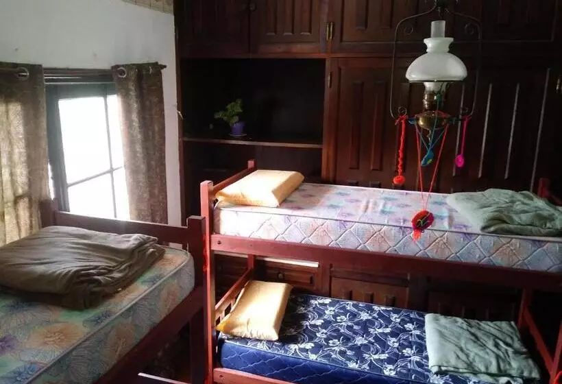 تختخواب و صبحانه Malala Jujuy Hostel