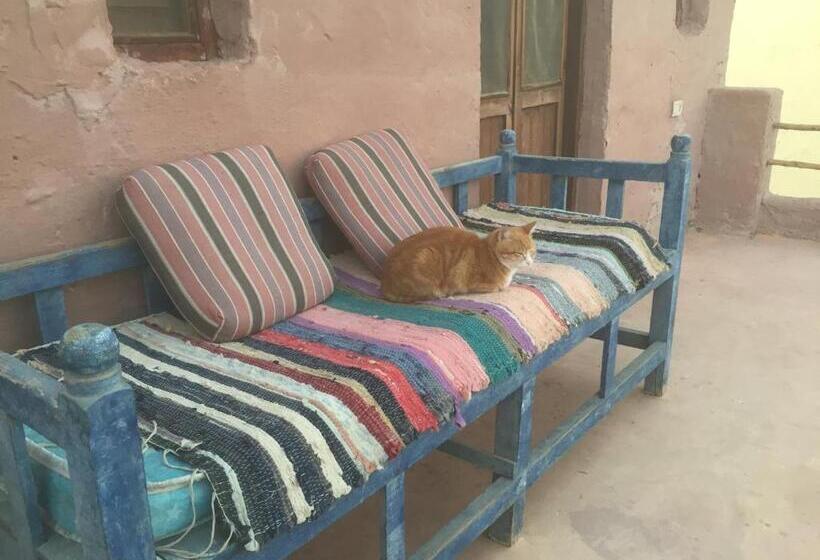 هتل Deep South Eco Lodge