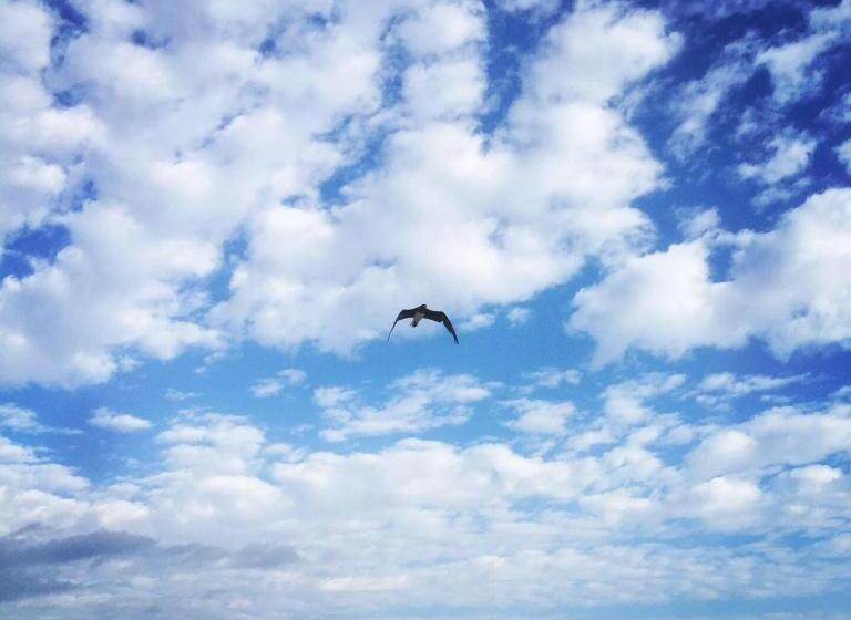 هتل Deep South Eco Lodge