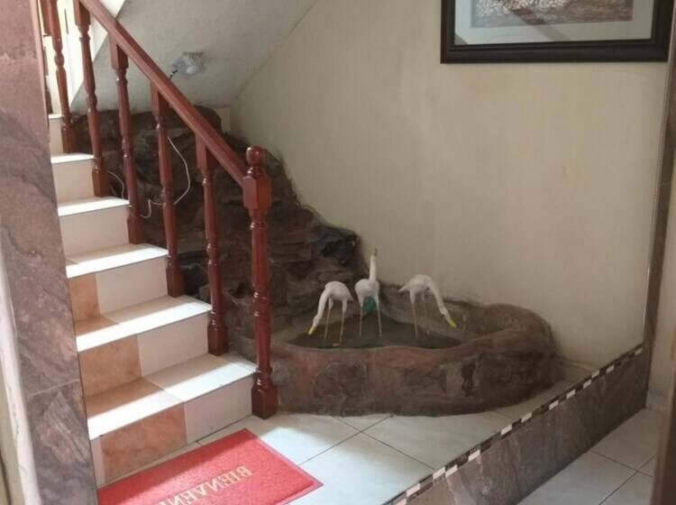 Pension Hostal Oro Orense