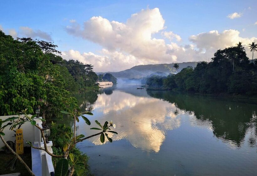 Casa Marina Bed And Breakfast