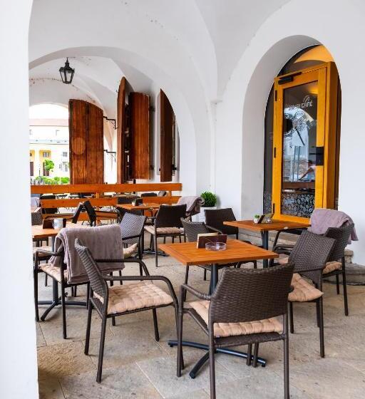 בית מלון כפרי Purkmistr